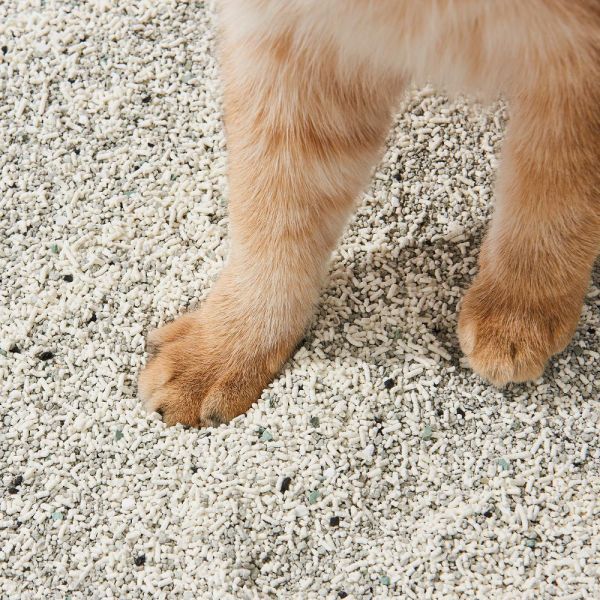 CATLINK 木薯除臭砂 (2入/箱) CATLINK 木薯除臭砂, 木薯貓砂, 除臭貓砂, 凝結型貓砂, 低粉塵貓砂, 天然貓砂, 環保貓砂, 貓砂推薦, 貓咪除臭砂, CATLINK 貓砂, 木薯砂推薦, 貓砂除臭, 貓砂盆除臭, 不易沾腳貓砂, 貓咪用品