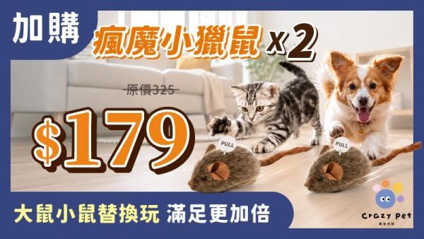 汪喵獵戰【瘋速甩尾鼠】 汪喵獵戰【瘋速甩尾鼠】
