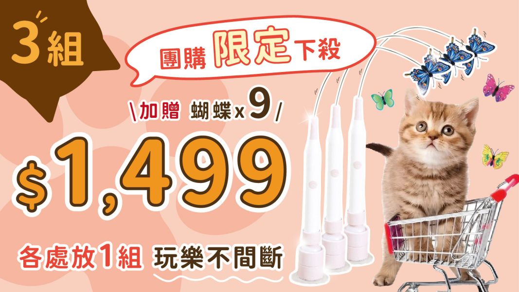 Crazypet喵嗨爽追【炫飛小蝴蝶】 炫飛小蝴蝶