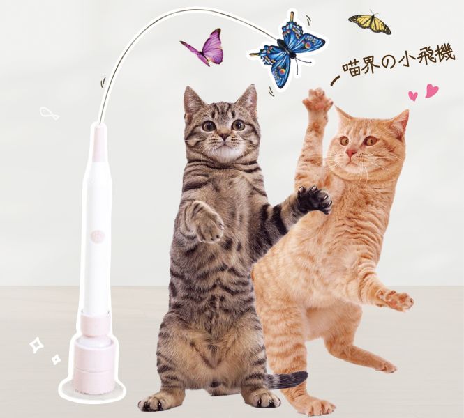 Crazypet喵嗨爽追【炫飛小蝴蝶】 炫飛小蝴蝶