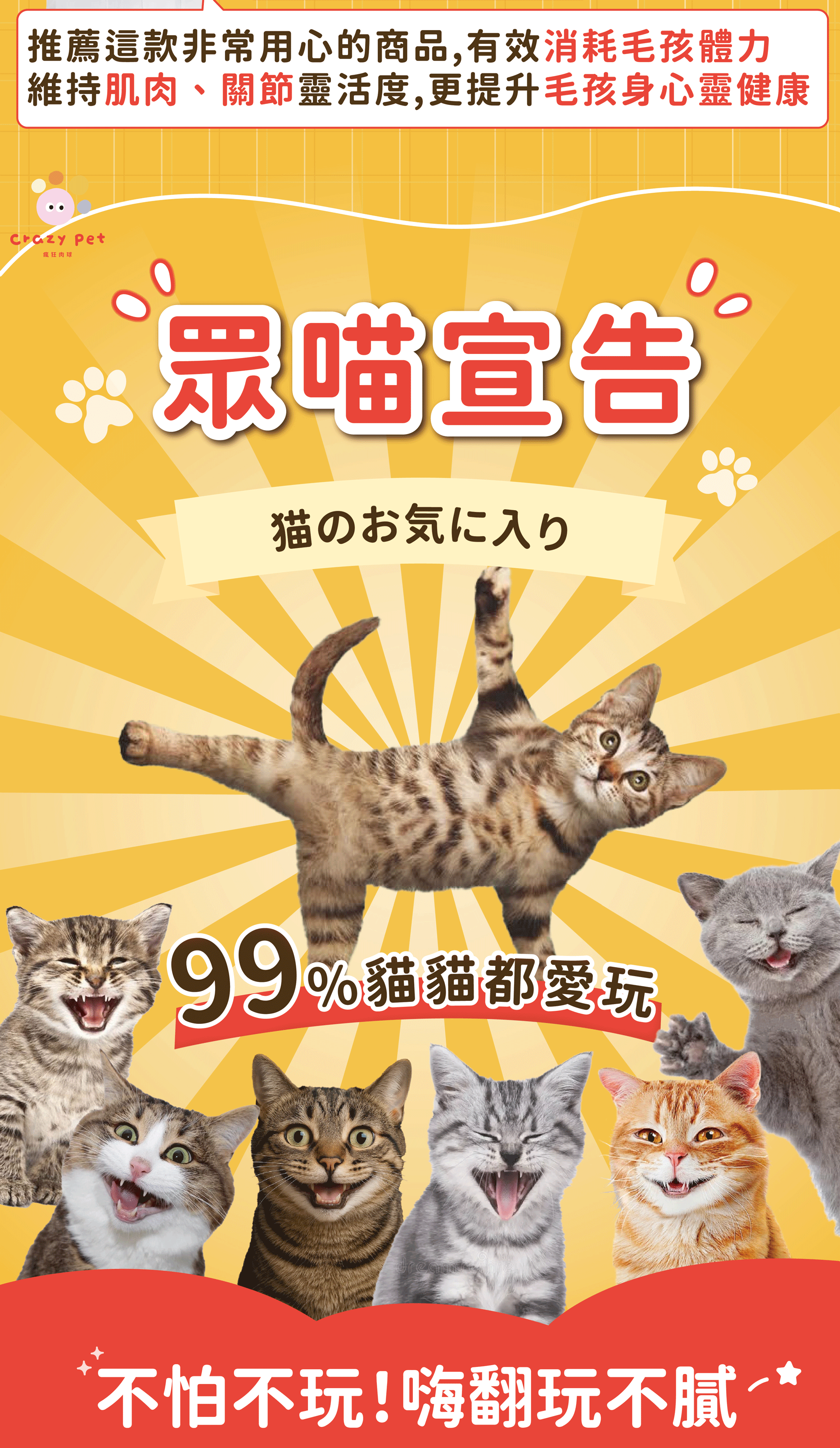 Crazypet喵嗨爽追【炫飛小蝴蝶】 炫飛小蝴蝶