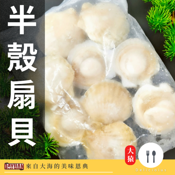 【大猿烤肉】半殼扇貝 500g 半殼扇貝、烤扇貝、大猿烤肉、海鮮烤肉、海味食材、焗烤扇貝、氣炸海鮮、冷凍海鮮