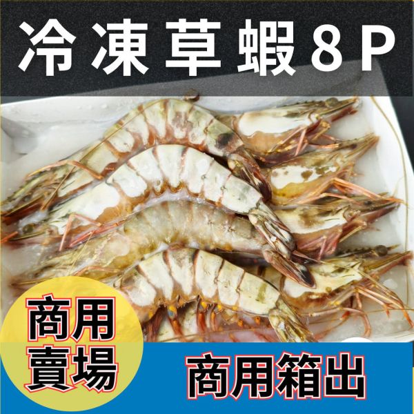 【商用批發】頂級冷凍草蝦 箱出量販 (8P / 12盒入) 職人備料, 穩定成本, 供應商直營, 起源信任, 小額免運, 低門檻補貨, 草蝦批發, 箱出量販, 8P草蝦, 大草蝦供應商, 商用海鮮批發, 串燒食材供應商, 露營食材批發, 台中餐飲供應鏈, 台中自取免運