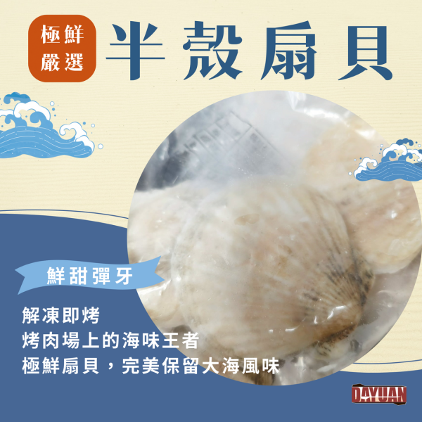 【大猿烤肉】半殼扇貝 500g 半殼扇貝、烤扇貝、大猿烤肉、海鮮烤肉、海味食材、焗烤扇貝、氣炸海鮮、冷凍海鮮