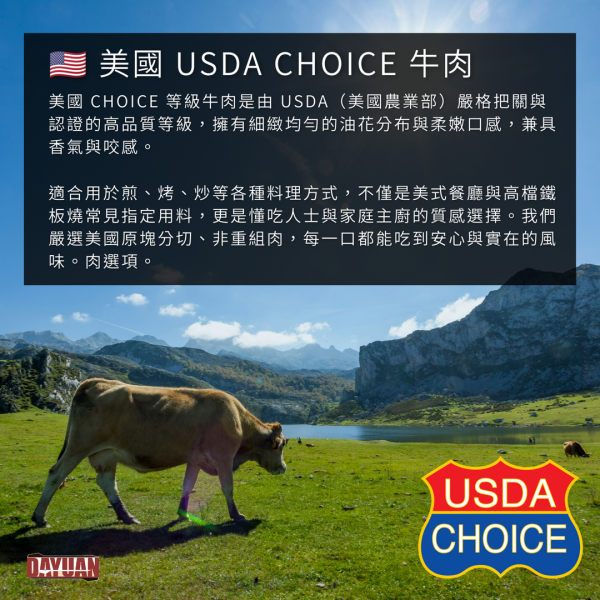 【大猿烤肉】美國Choice 骰子牛肉 100g真空包 