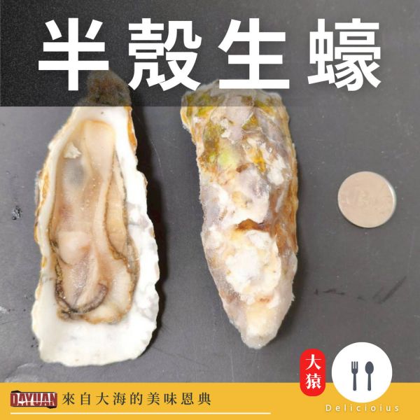 【大猿烤肉】頂級半殼生蠔 1顆 / 燒烤批發首選 職人備料, 穩定成本, 供應商直營, 起源信任, 小額免運, 半殼生蠔, 冷凍生蠔批發, 散裝海鮮, 台中自取, 串燒大哥, 餐廳採購推薦