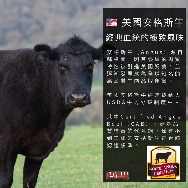 【大猿烤肉】美國CAB安格斯黑牛 原塊板腱牛排  4OZ/120g 單片真空包裝 