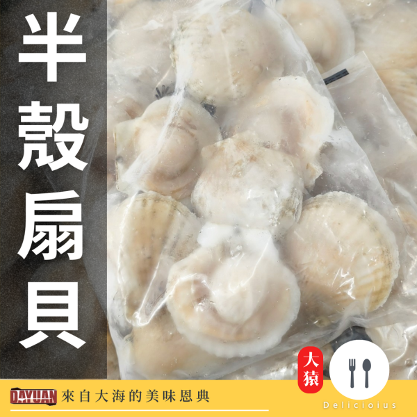 【大猿烤肉】半殼扇貝 500g 半殼扇貝、烤扇貝、大猿烤肉、海鮮烤肉、海味食材、焗烤扇貝、氣炸海鮮、冷凍海鮮