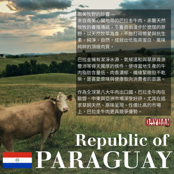 【大猿烤肉】嚴選超值骰子原塊牛肉 200g真空包 中南美骰子牛, 高CP值牛肉, 餐廳平價肉品, 原塊牛肉丁, 創業備料, 早餐店食材, 冷凍牛肉批發, 燴飯專用肉, 真空包肉塊, 大猿串燒超值系列
