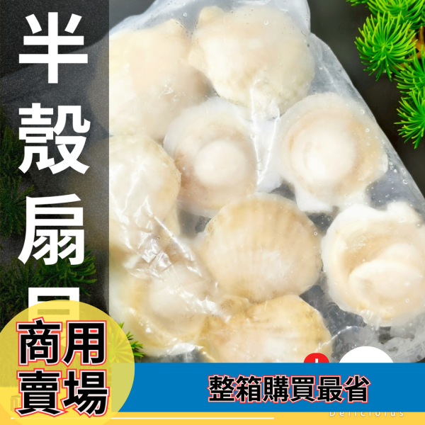 【商用批發】半殼扇貝 500g  箱出24包｜冷凍出貨 半殼扇貝, 冷凍扇貝, 商用海鮮批發, 火鍋扇貝料, 大猿扇貝