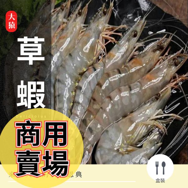 箱出【大猿烤肉】草蝦 鮮美活凍大草蝦 