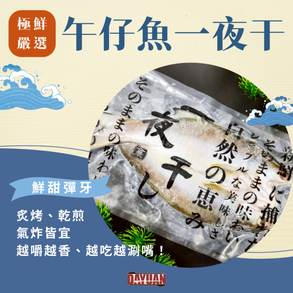 【大猿烤肉】午仔魚一夜干 午仔魚一夜干, 一夜干推薦, 日式鹽烤魚, 氣炸魚料理, 台灣午仔魚, 冷凍午仔魚, 烤魚推薦, 日式便當魚, 大猿串燒, 一夜干魚片