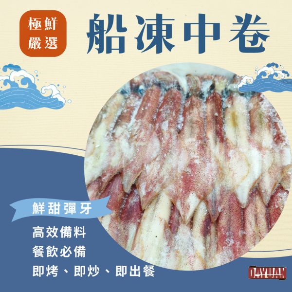 【商用箱出】冷凍透抽 (中卷) 14KG｜餐飲通路海鮮食材 中卷批發, 船凍透抽箱購, 商用海鮮供應, 穩定成本, 職人備料, 大猿串燒, 台中食材批發