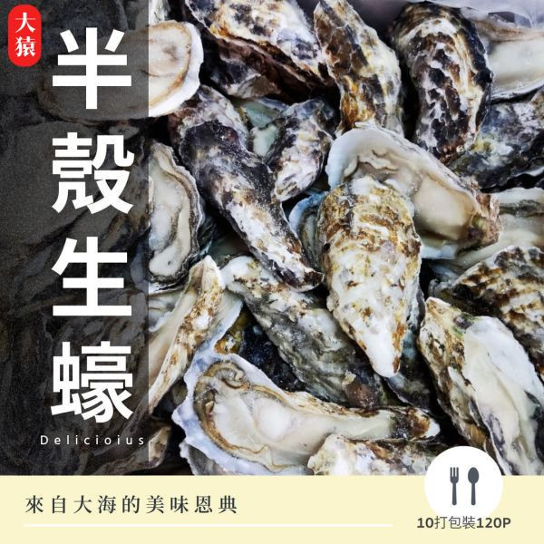 【大猿烤肉】頂級半殼生蠔 1顆 / 燒烤批發首選 職人備料, 穩定成本, 供應商直營, 起源信任, 小額免運, 半殼生蠔, 冷凍生蠔批發, 散裝海鮮, 台中自取, 串燒大哥, 餐廳採購推薦