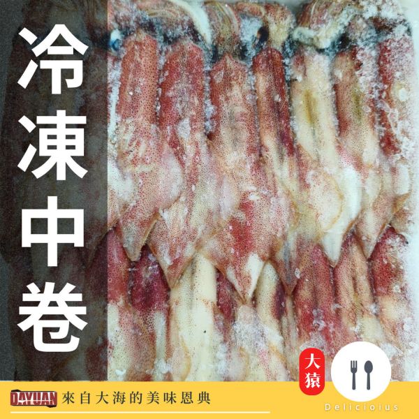 【商用箱出】冷凍透抽 (中卷) 14KG｜餐飲通路海鮮食材 中卷批發, 船凍透抽箱購, 商用海鮮供應, 穩定成本, 職人備料, 大猿串燒, 台中食材批發