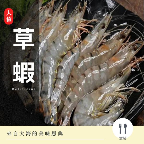 【大猿烤肉】草蝦 鮮美活凍大草蝦 