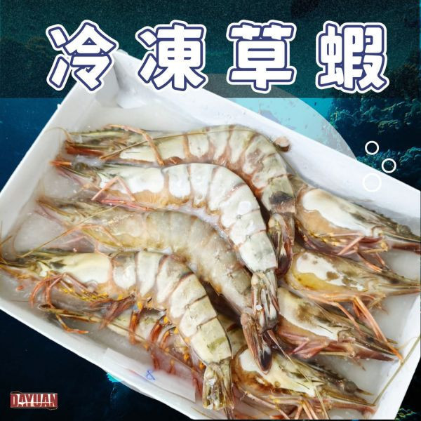 【商用批發】頂級冷凍草蝦 箱出量販 (8P / 12盒入) 職人備料, 穩定成本, 供應商直營, 起源信任, 小額免運, 低門檻補貨, 草蝦批發, 箱出量販, 8P草蝦, 大草蝦供應商, 商用海鮮批發, 串燒食材供應商, 露營食材批發, 台中餐飲供應鏈, 台中自取免運