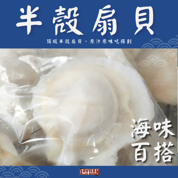 【大猿烤肉】半殼扇貝 500g 半殼扇貝、烤扇貝、大猿烤肉、海鮮烤肉、海味食材、焗烤扇貝、氣炸海鮮、冷凍海鮮