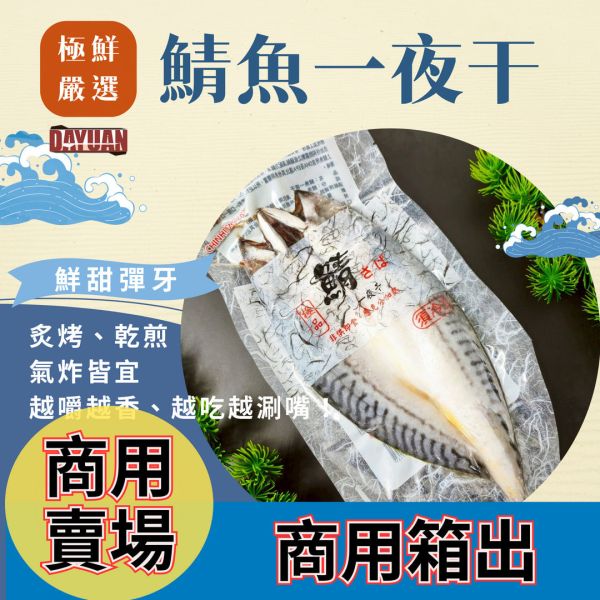 【大猿烤肉】商用批發：鯖魚一夜干 箱出量販 (18片/箱) 職人備料, 穩定成本, 供應商直營, 起源信任, 小額免運, 低門檻補貨, 鯖魚一夜干批發, 18P箱出, 商用食材批發, 串燒食材供應商, 露營食材批發, 台中餐飲供應鏈, 台中自取免運