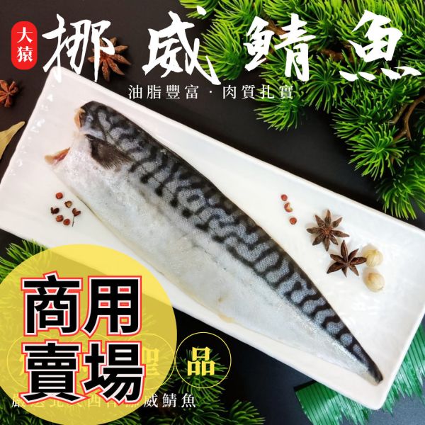 箱出【大猿烤肉】鯖魚片100片 (10kg/件) 