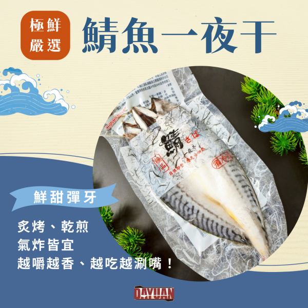 【大猿烤肉】鯖魚一夜干 鯖魚一夜干, 一夜干推薦, 烤鯖魚, 日式鯖魚, 冷凍鯖魚, 氣炸鯖魚, 日本魚料理, 日式定食魚, 大猿串燒, 日式烤魚