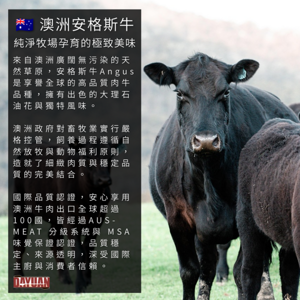 【大猿烤肉】澳洲安格斯 骰子牛肉 原塊肉 500g 澳洲安格斯骰子牛, 原塊牛肉丁, 餐廳備料牛肉, 燒肉店食材, 冷凍骰子牛, 西餐燉牛肉料, 義式料理食材, 安格斯牛肉批發, 一口大小肉塊, 大猿串燒B2B