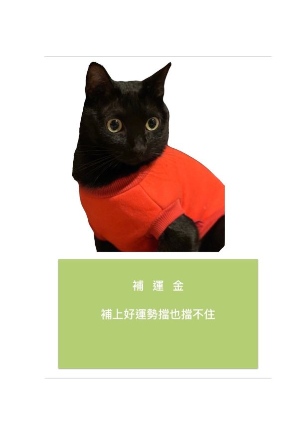 補運金 補運