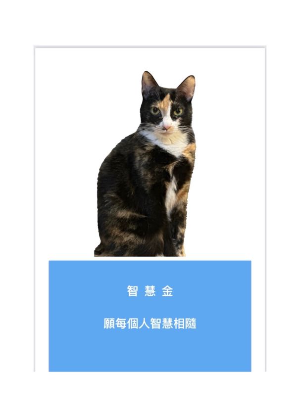 智慧金 智慧