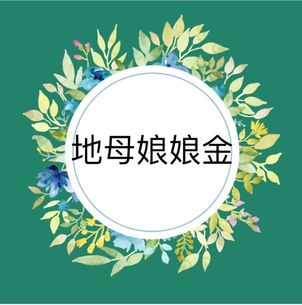 地母娘娘金 地母娘娘