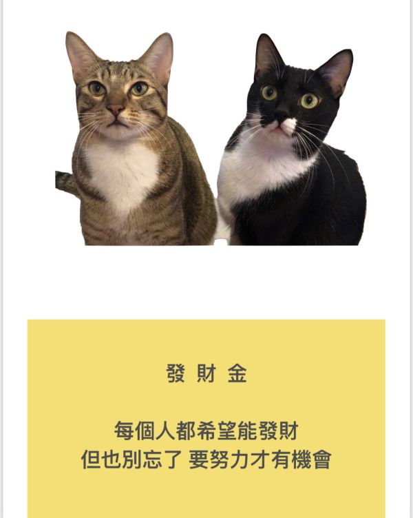 發財金 發財