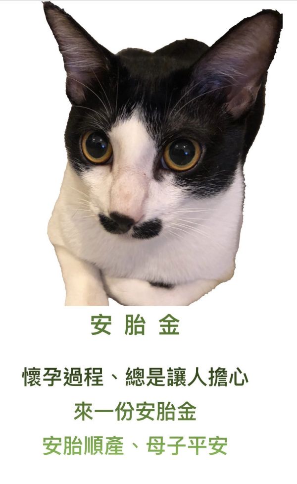 安胎金 安胎