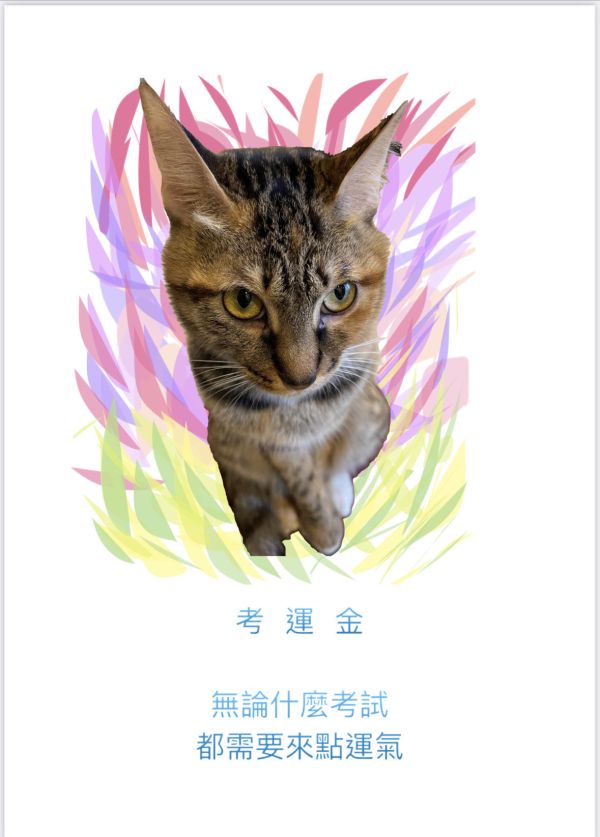 考運金 考運