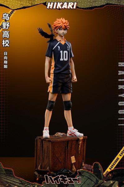 【台灣/海外現貨】HIKARI 烏野站姿共鳴 第二彈 小太陽 