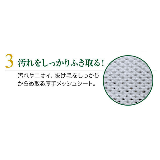 【Quick&Rich寵物毛髮護理擦澡巾20枚】LION獅王 