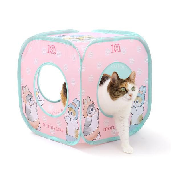 〖貓咪方塊－貓福珊迪聯名限定〗猫壱 