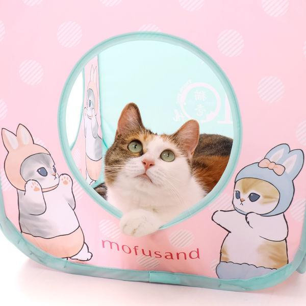 〖貓咪方塊－貓福珊迪聯名限定〗猫壱 