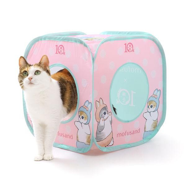 〖貓咪方塊－貓福珊迪聯名限定〗猫壱 