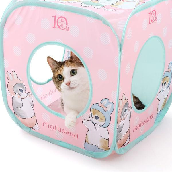 〖貓咪方塊－貓福珊迪聯名限定〗猫壱 