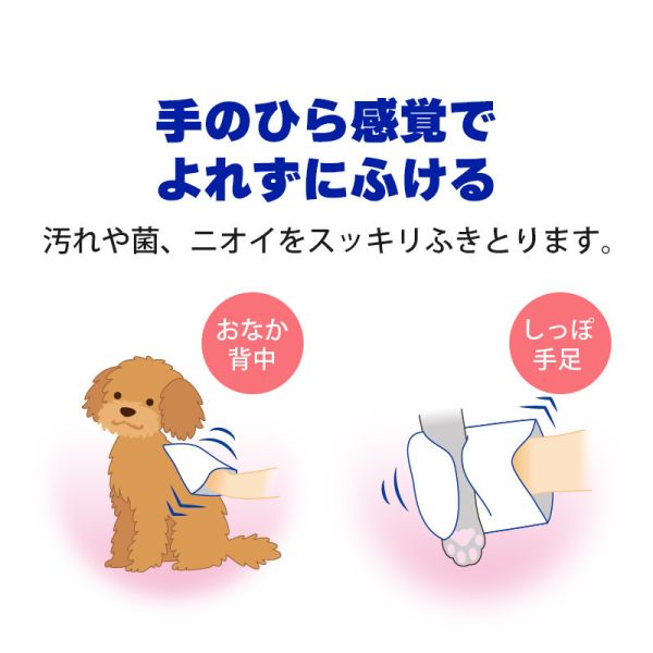 【貓用–手套型濕毛巾15枚】LION獅王 