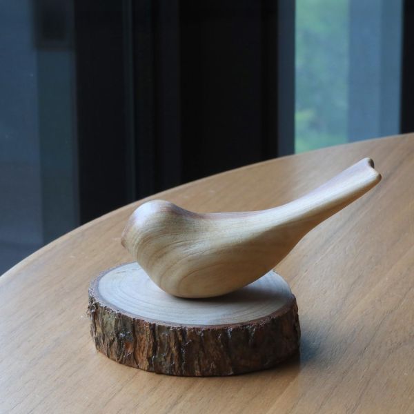 台灣杉麻雀 #麻雀 #小鳥 #檜木