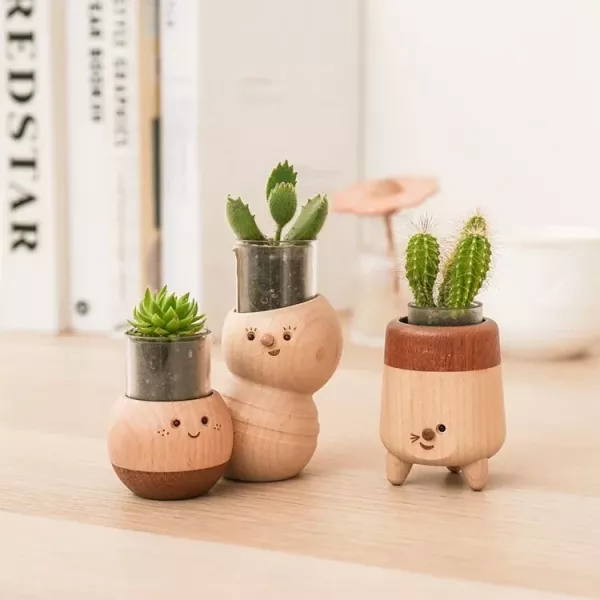 好朋友多肉植物 