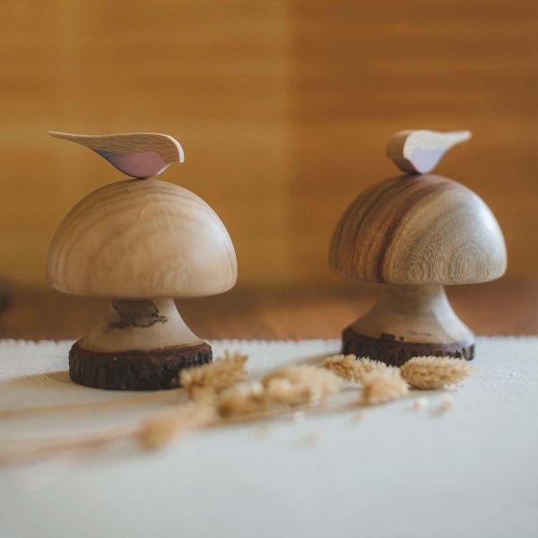 森菇鳥影 #音樂鈴 #樟樹 #森林 #香菇