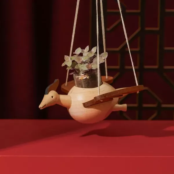 翼龍多肉盆栽罐 