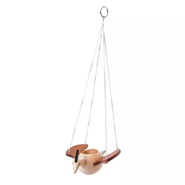 翼龍多肉盆栽罐 