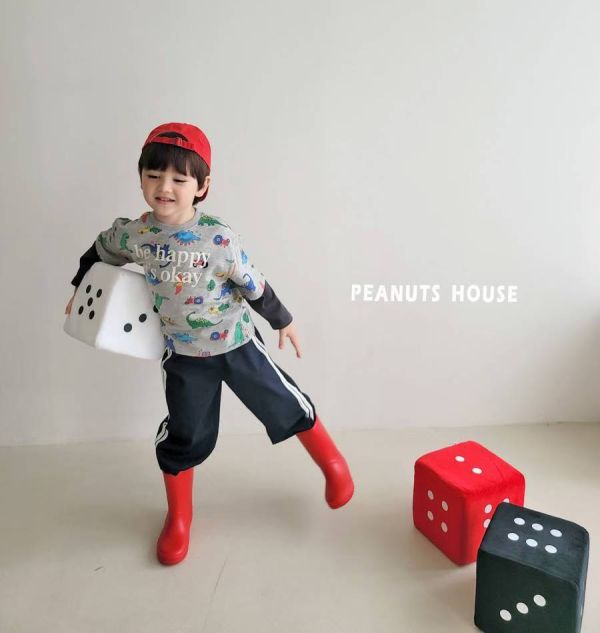 Peanuts house 花生家/長袖上衣/恐龍/拼接/美式風 Peanuts house 花生家/正韓童裝/短袖上衣/袖子蕾絲邊
