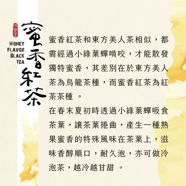 【嘗鮮體驗區】日月潭紅茶(綜合組) 茶包６入/盒 
