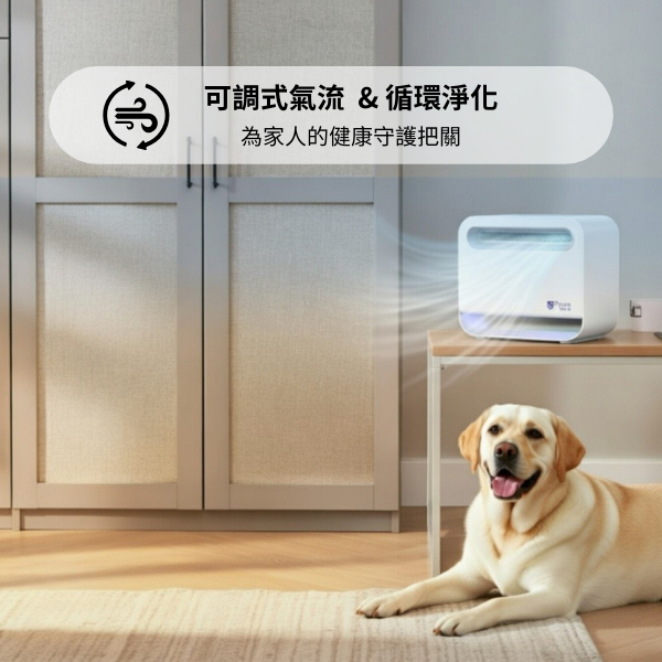 美國Pyure空氣淨化機Mini™ 50 便攜式裝置
攜帶式空氣清淨機
攜帶式空氣淨化機
空氣清淨機推薦
空氣淨化機推薦
空氣淨化
居家防疫
如何有效除甲醛
如何有效殺菌
如何有效殺死COVID-19
如何有效除臭
如何有效除霉
如何有效避免交叉感染