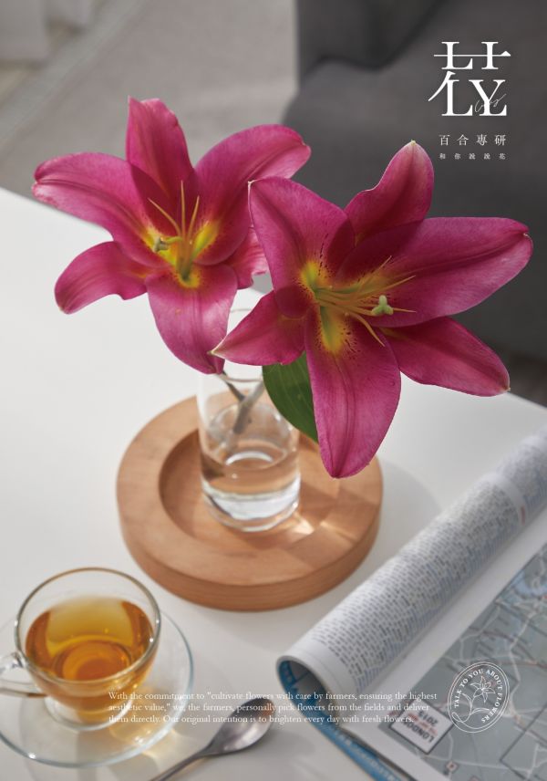 114年蛇年年節禮盒－－百合迎春禮盒(花苞款) 