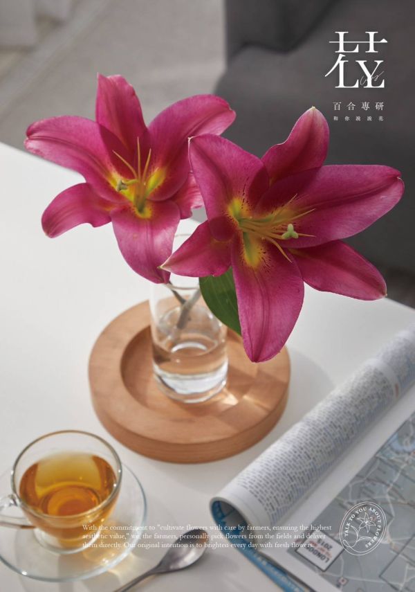 香水百合--試金石 試金石