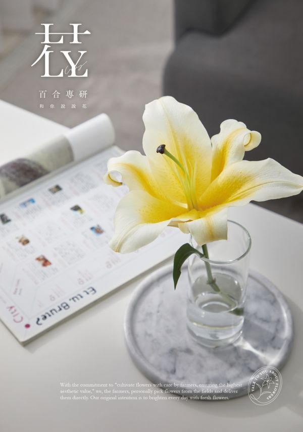 114年蛇年年節禮盒－－百合迎春禮盒(花苞款) 
